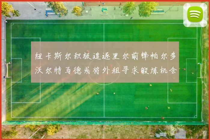 纽卡斯尔积极追逐里尔前锋帕尔多沃尔特马德或将外租寻求锻炼机会